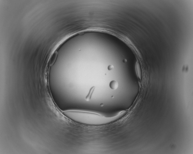 X0000111810908200907231231