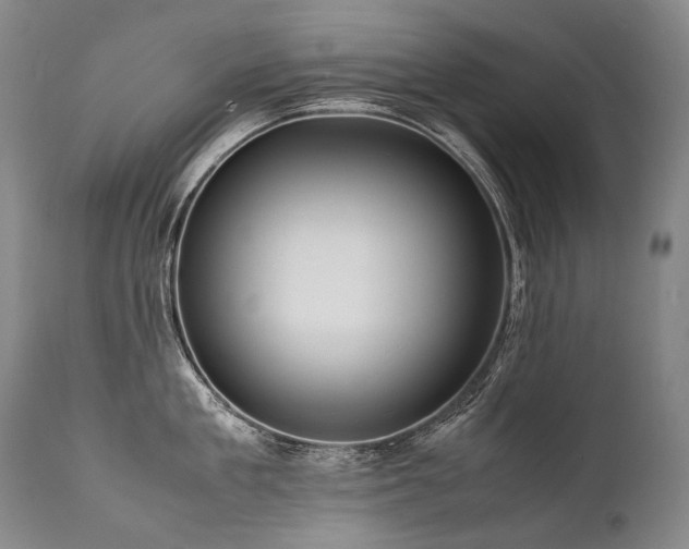 X0000111810909200907231231