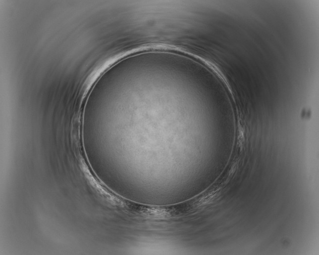 X0000111810911200907231231