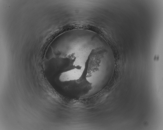 X0000111810913200907231231