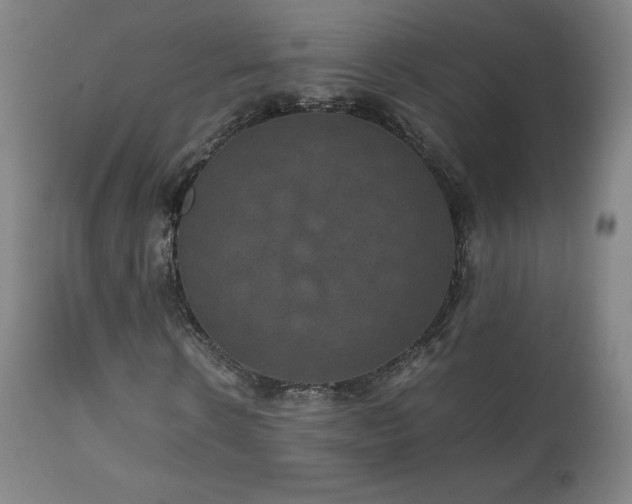X0000111810914200907231231