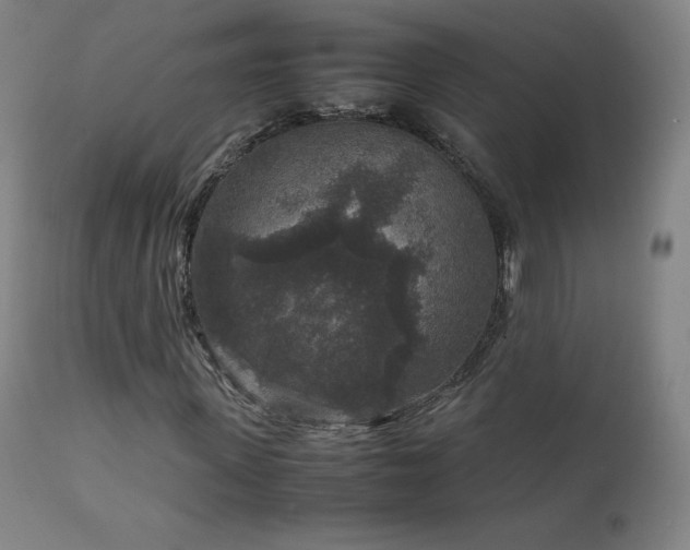 X0000111810915200907231231