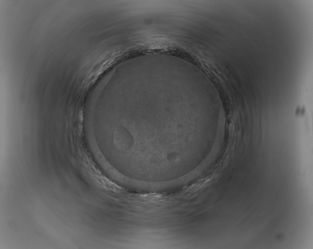 X0000111810916200907231231
