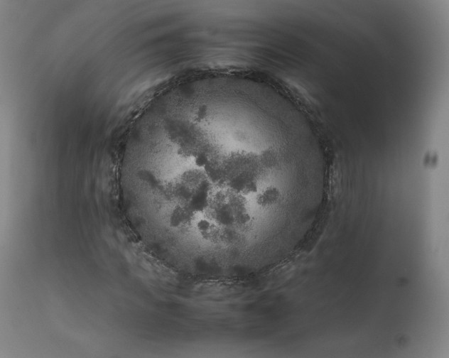 X0000111810917200907231231
