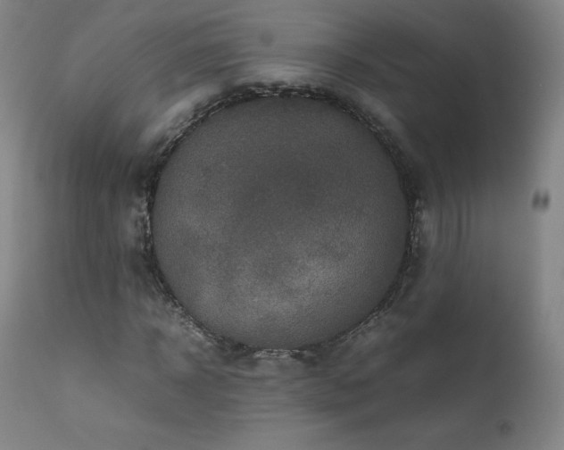 X0000111810918200907231231