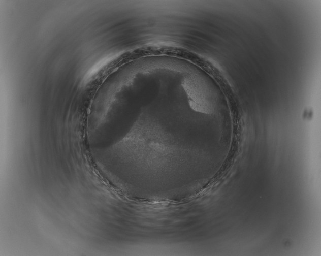 X0000111810919200907231231