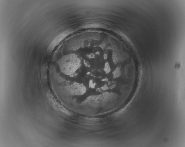 X0000111810921200907231231
