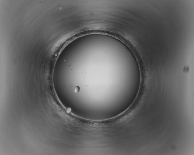 X0000111810922200907231231