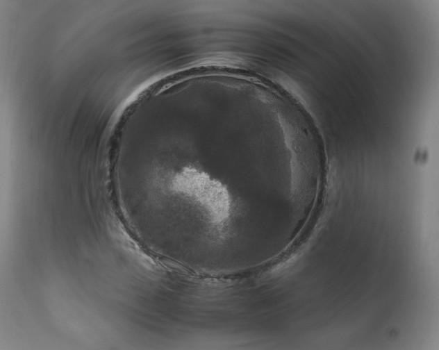 X0000111810923200907231231