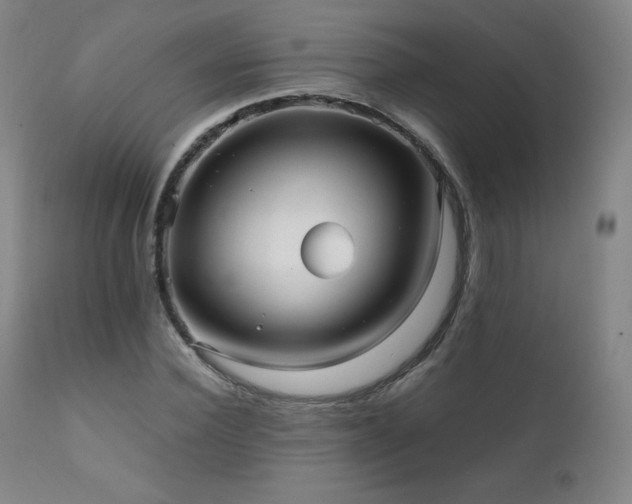 X0000111810924200907231231