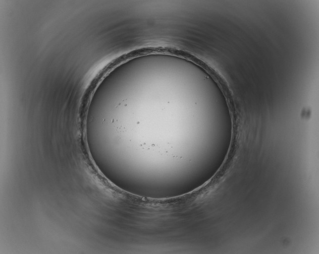 X0000111810927200907231231