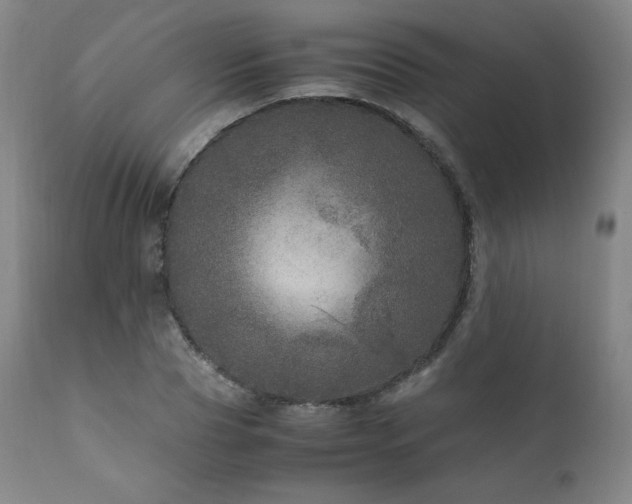 X0000111810929200907231231