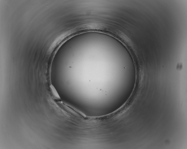 X0000111810930200907231231