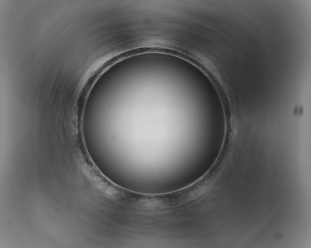 X0000111810931200907231231