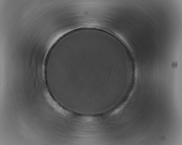 X0000111810932200907231231
