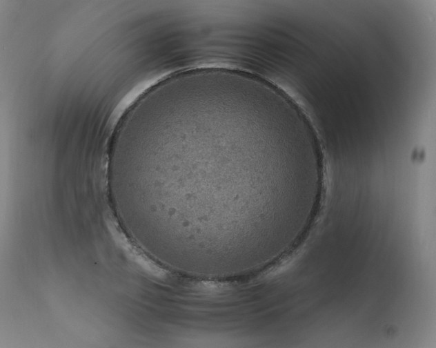 X0000111810933200907231231