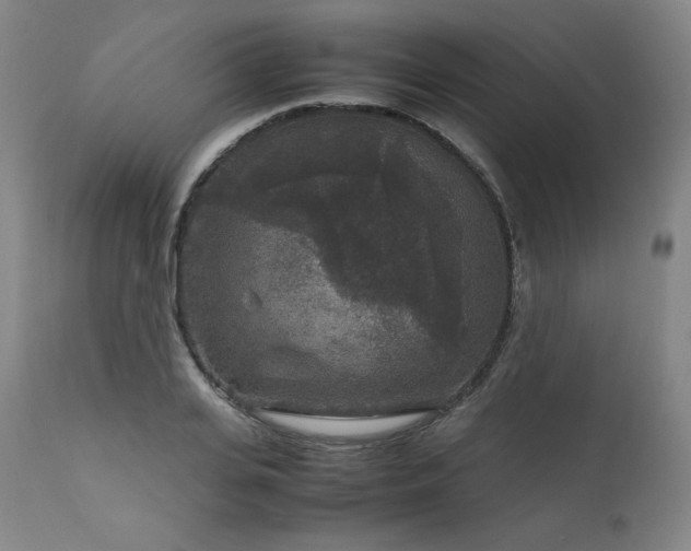 X0000111810935200907231231