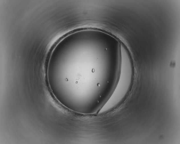 X0000111810936200907231231