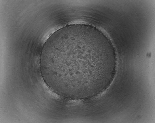 X0000111810937200907231231