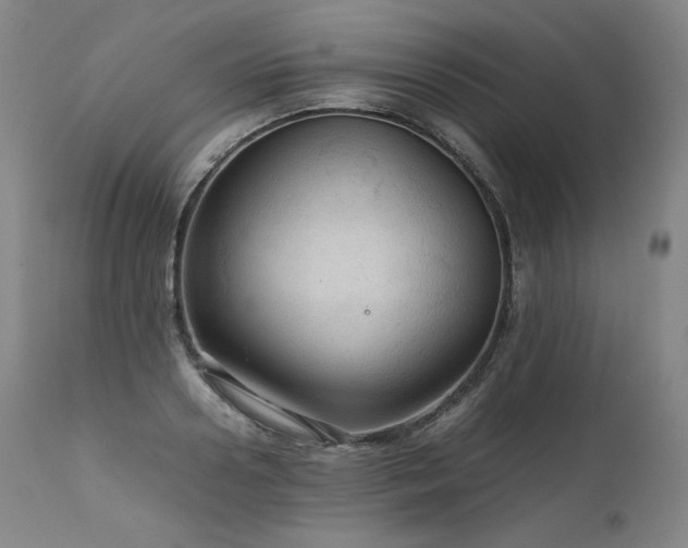 X0000111810938200907231231