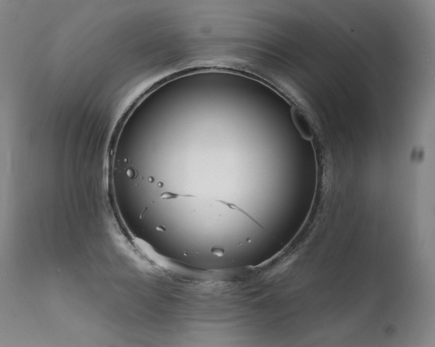 X0000111810940200907231231