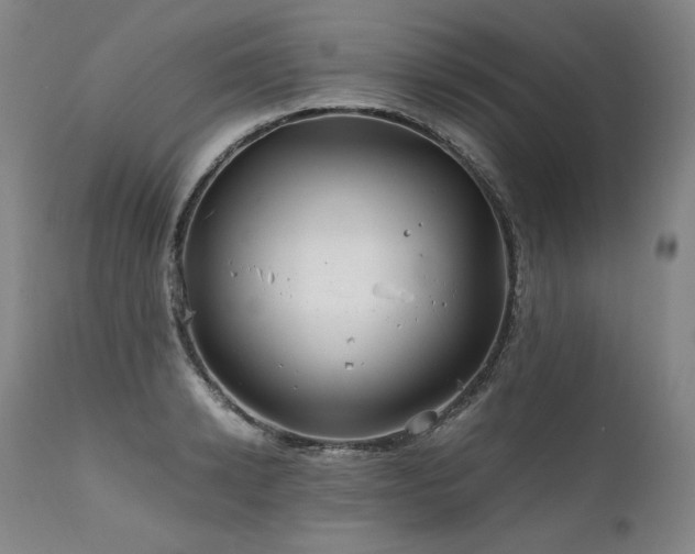 X0000111810942200907231231