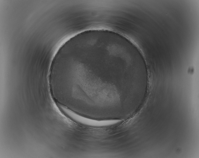 X0000111810943200907231231