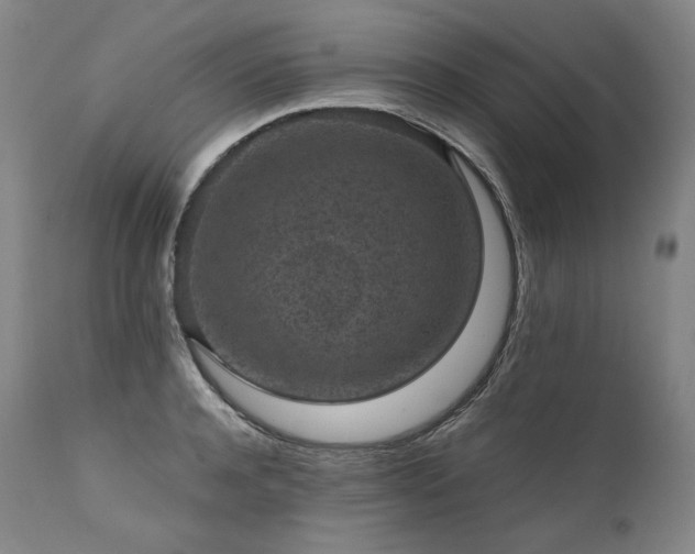 X0000111810944200907231231