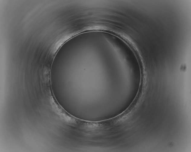 X0000111810945200907231231