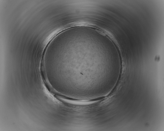 X0000111810946200907231231