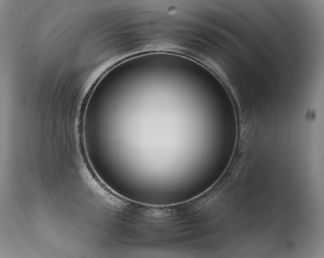 X0000111810947200907231231