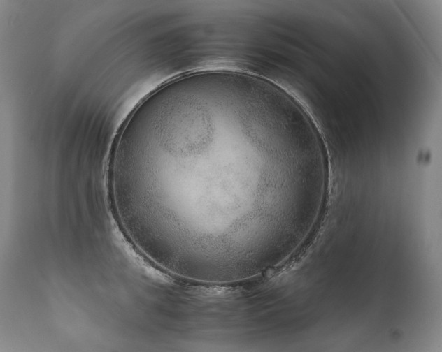 X0000111810949200907231231