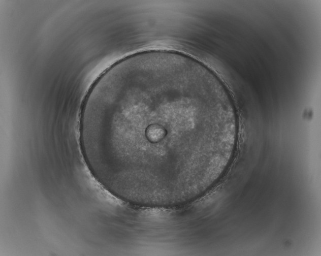 X0000111810950200907231231