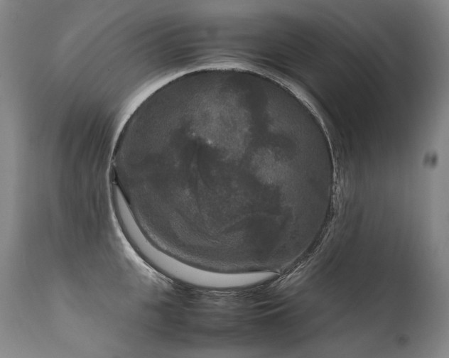 X0000111810951200907231231
