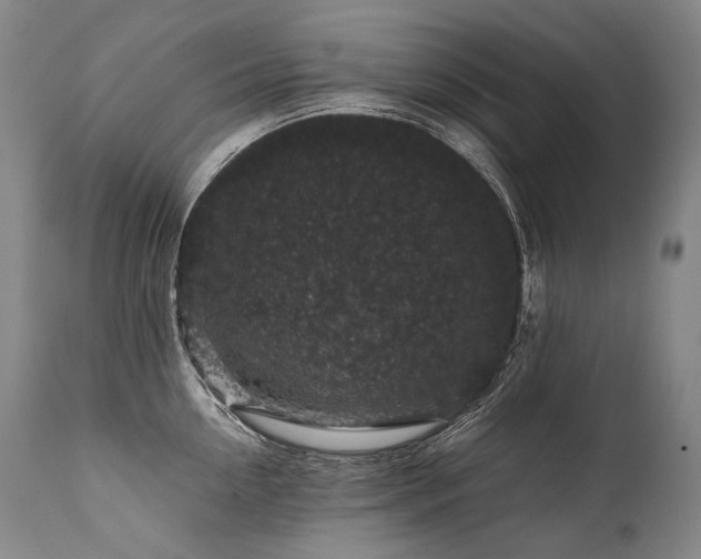 X0000111810954200907231231