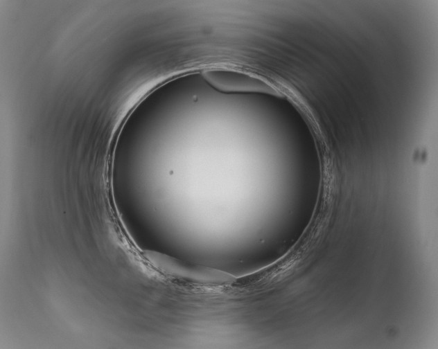 X0000111810956200907231231