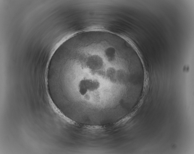 X0000111810957200907231231