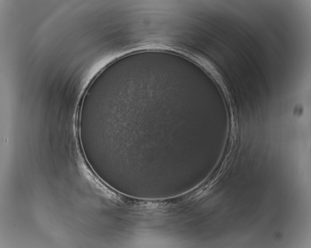 X0000111810958200907231231