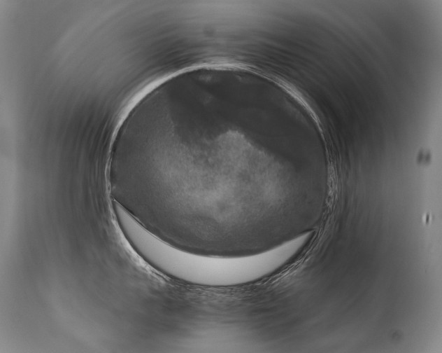 X0000111810959200907231231
