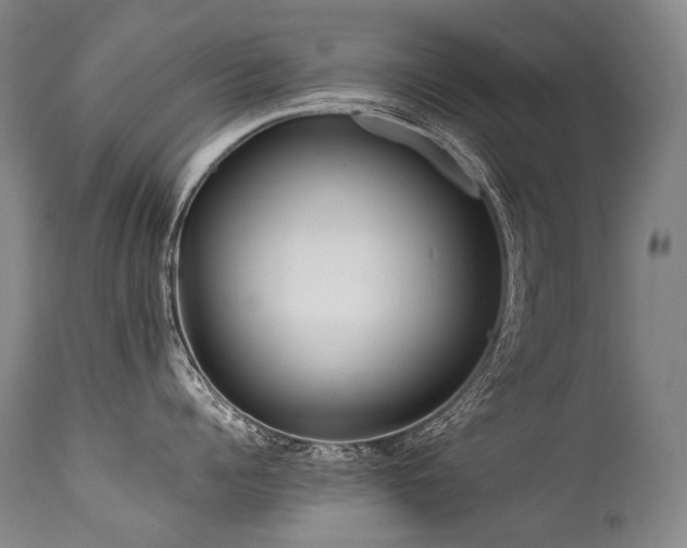 X0000111810960200907231231