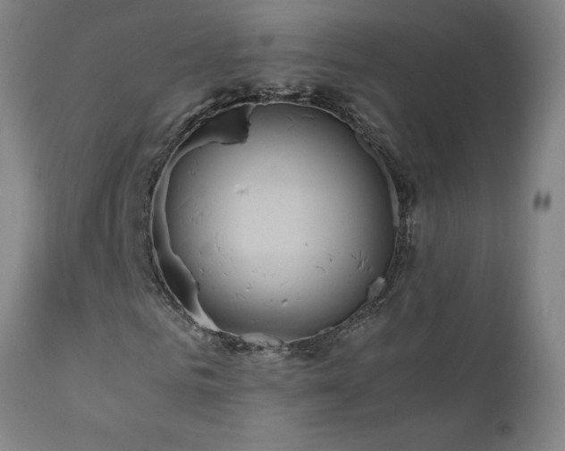X0000111810961200907231231