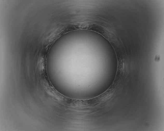 X0000111810962200907231231