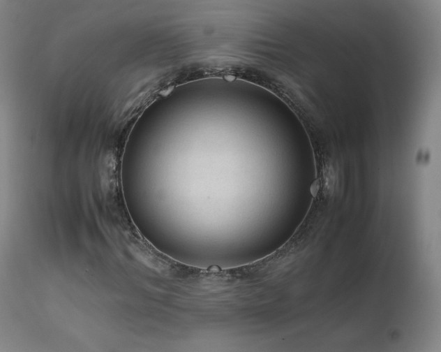 X0000111810964200907231231