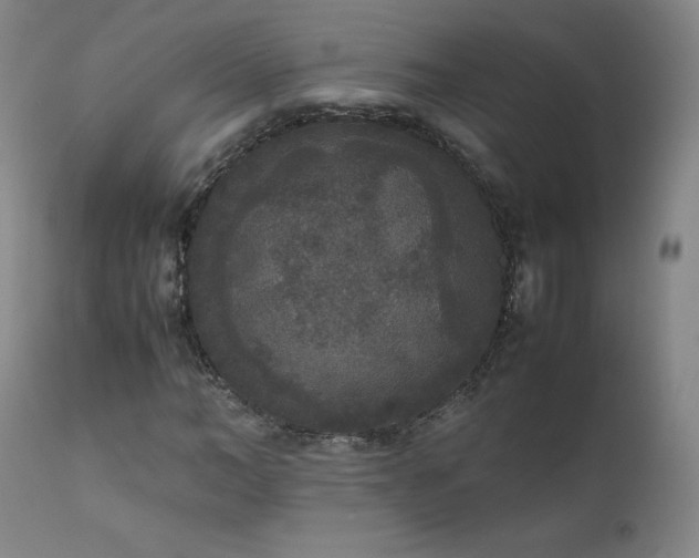 X0000111810966200907231231