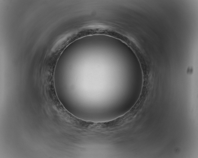 X0000111810967200907231230