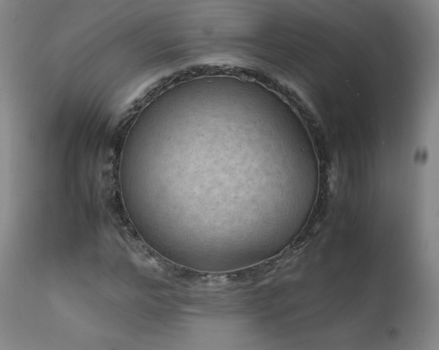 X0000111810968200907231230