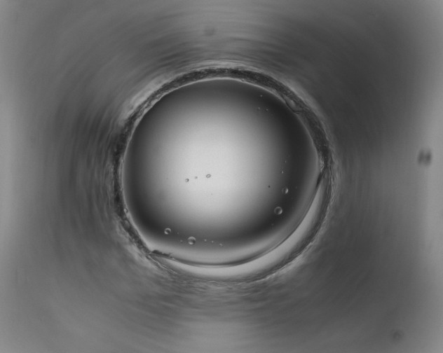 X0000111810969200907231230