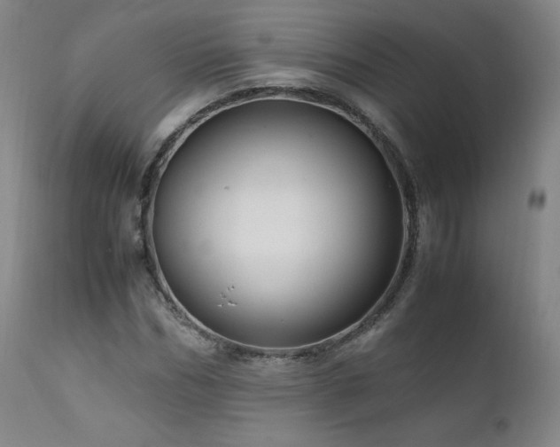 X0000111810970200907231230