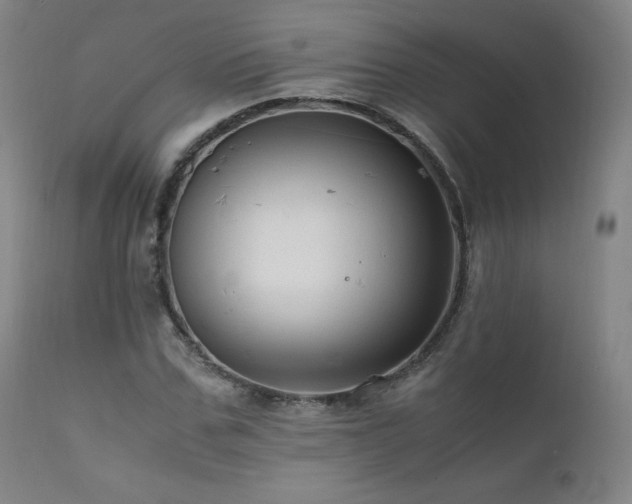 X0000111810971200907231230