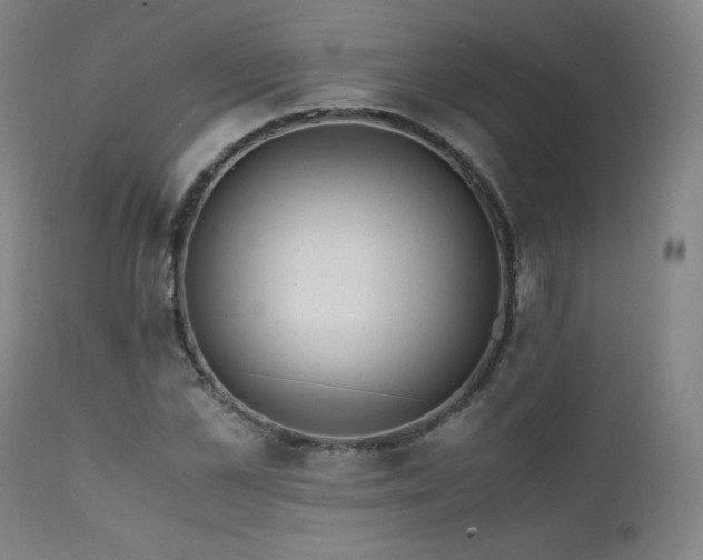X0000111810973200907231230